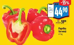 Albert Paprika červená nabídka