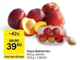 Tesco Tesco Nektarinky, 500 g, balené nabídka