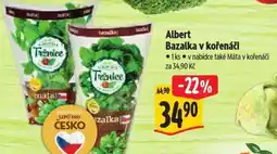 Albert Albert Bazalka v kořenáči nabídka