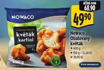 Albert Nowaco Obalovaný květák nabídka