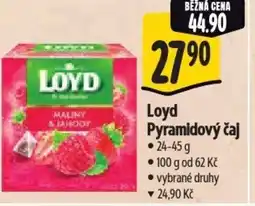 Albert Loyd Pyramidový čaj nabídka
