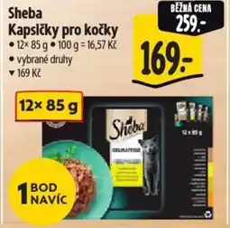 Albert Sheba Kapsičky pro kočky nabídka
