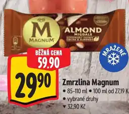 Albert Zmrzlina Magnum nabídka