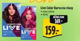 Albert Live Color Barva na vlasy nabídka