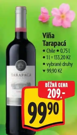 Albert Viña Tarapacá nabídka