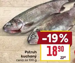 Billa Pstruh kuchaný nabídka
