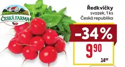 Billa Ředkvičky nabídka
