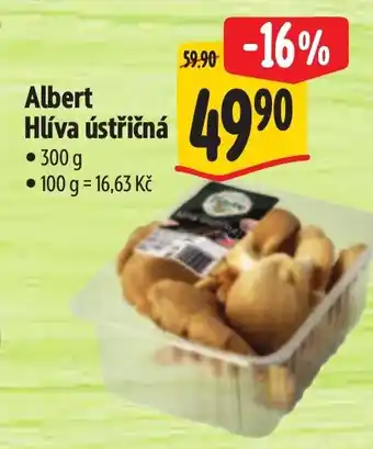 Albert ALBERT Hlíva ústřičná nabídka