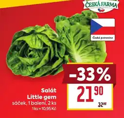 Billa Salát Little gem nabídka