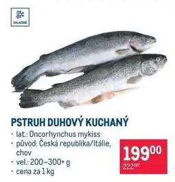 Makro Pstruh duhový kuchaný nabídka