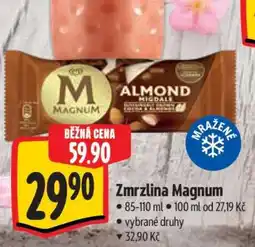 Albert Zmrzlina Magnum nabídka