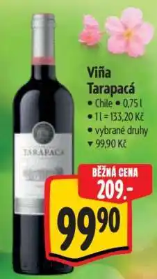 Albert Viña Tarapacá nabídka
