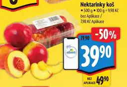 Albert Nektarinky koš nabídka