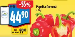 Albert Paprika červená nabídka