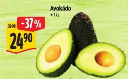 Albert Avokádo nabídka