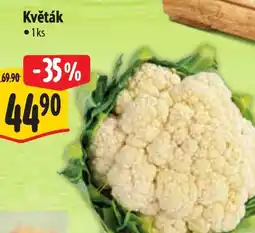 Albert Květák nabídka