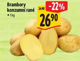 Albert Brambory konzumní rané nabídka
