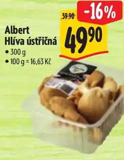 Albert Albert Hlíva ústřičná nabídka