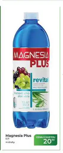 Tamda Foods Magnesia Plus 0,71 nabídka
