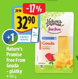 Albert Nature's Promise Free From Gouda - plátky nabídka