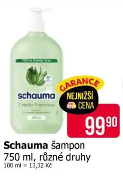 Teta Schauma Šampon nabídka