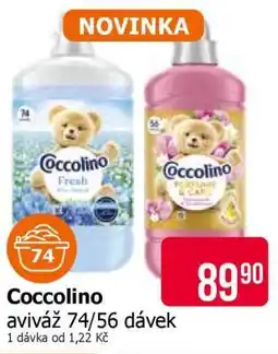 Teta Coccolino nabídka