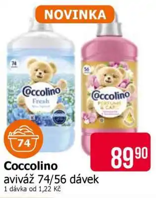 Teta Coccolino nabídka