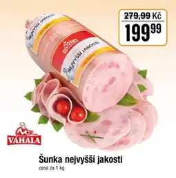 TEMPO Šunka nejvyšší jakosti nabídka