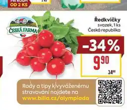 Billa Ředkvičky svazek, 1 ks nabídka