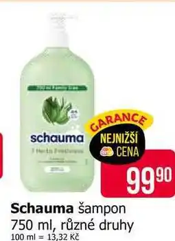 Teta Schauma šampon na vlasy 750ml, různé druhy nabídka