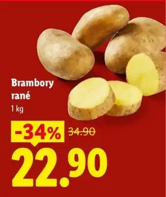 Brambory rané