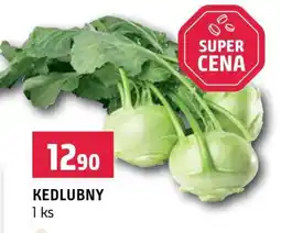 Terno Kedlubny nabídka
