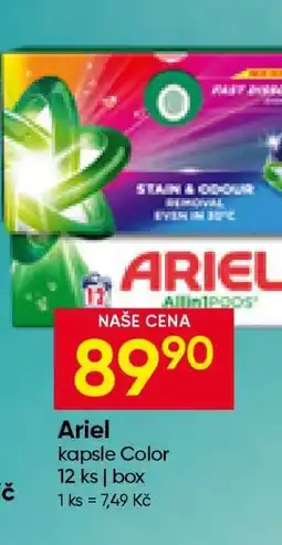 Hruška ARIEL nabídka