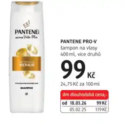 dm drogerie PANTENE PRO-V šampon na vlasy nabídka