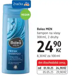 dm drogerie Balea MEN šampon na vlasy nabídka