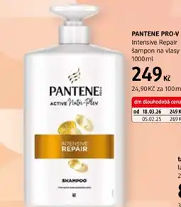 dm drogerie Pantene Pro-v nabídka