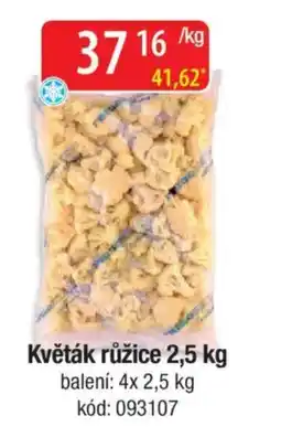 Qanto Květák růžice nabídka