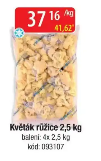 Qanto Květák růžice nabídka