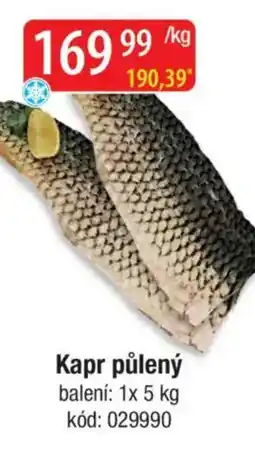 Qanto Kapr půlený nabídka