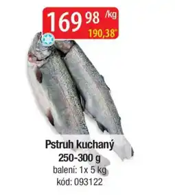 Qanto Pstruh kuchaný nabídka