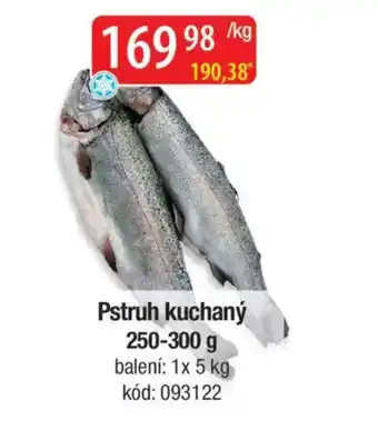 Qanto Pstruh kuchaný nabídka