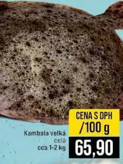 Jip Kambala velká celá cca 1-2 kg 100g nabídka
