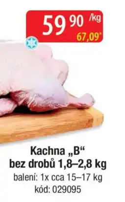 Qanto Kachna,,B" bez drobů nabídka