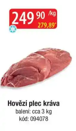 Qanto Hovězí plec kráva nabídka