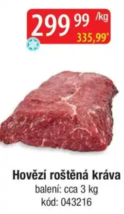 Qanto Hovězí roštěná kráva nabídka