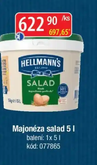 Qanto Hellmann's Majonéza salad nabídka