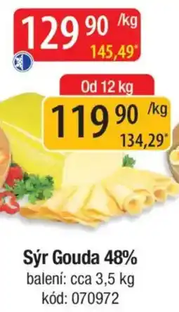 Qanto Sýr Gouda 48% nabídka