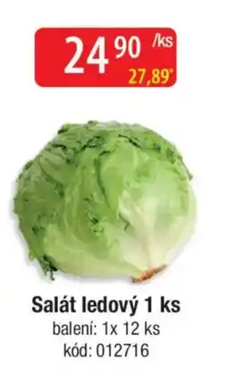Qanto Salát ledový nabídka