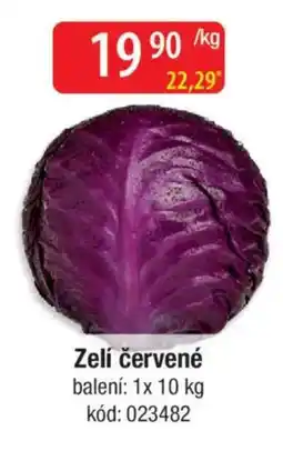 Qanto Zelí červené nabídka