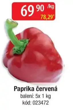 Qanto Paprika červená nabídka